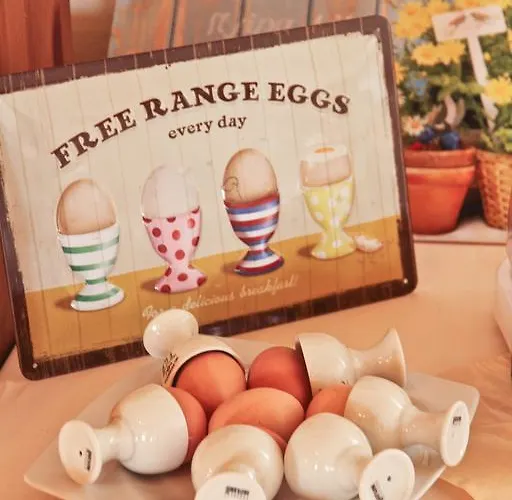 Hotel Hotel Sonne Neuburg am Rhein